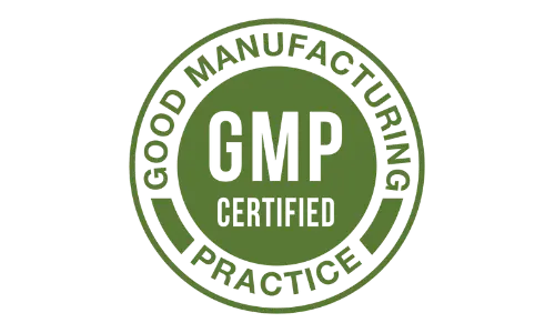 black wood tea gmp certified